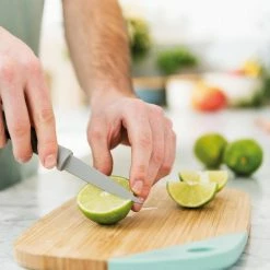 Budget 🌟 Leo 3.25 in. Grey Paring Knife by BergHOFF ⌛ -Cutlery Sales berghoff paring knives 3950050 31 1000