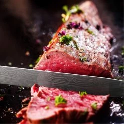 Best reviews of 🎁 Meat Slicing Carving Knife - Full Tang German Stainless Steel Kitchen Cutlery with 10 in. Blade and Pakkawood Handle by GRANDTIES 🌟 -Cutlery Sales carving knives gt1002 fa 1000