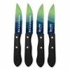 Top 10 🧨 NFL Seattle Seahawks Steak Knives (4-Pack) by sportsvault 😉